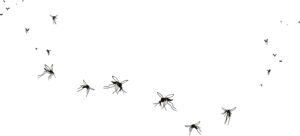 Fliegende Mücken